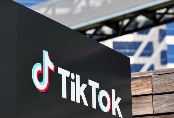 Tiktok Users Share Workplace Communication Technology And Effective Methods 