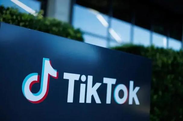 Tiktok Musicians Collaborate On New Songs Cross-Field Creative Collision 