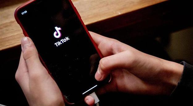 TikTok’s Effect on Cheese Board Trends 